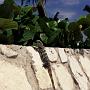 Cancun, Oct 1989